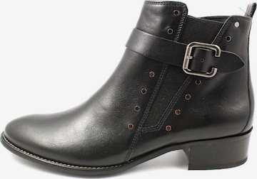 Paul Green Stiefelette in Schwarz