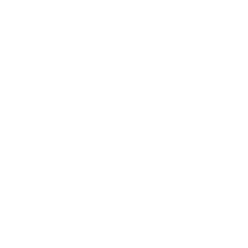 SKAGEN Logo