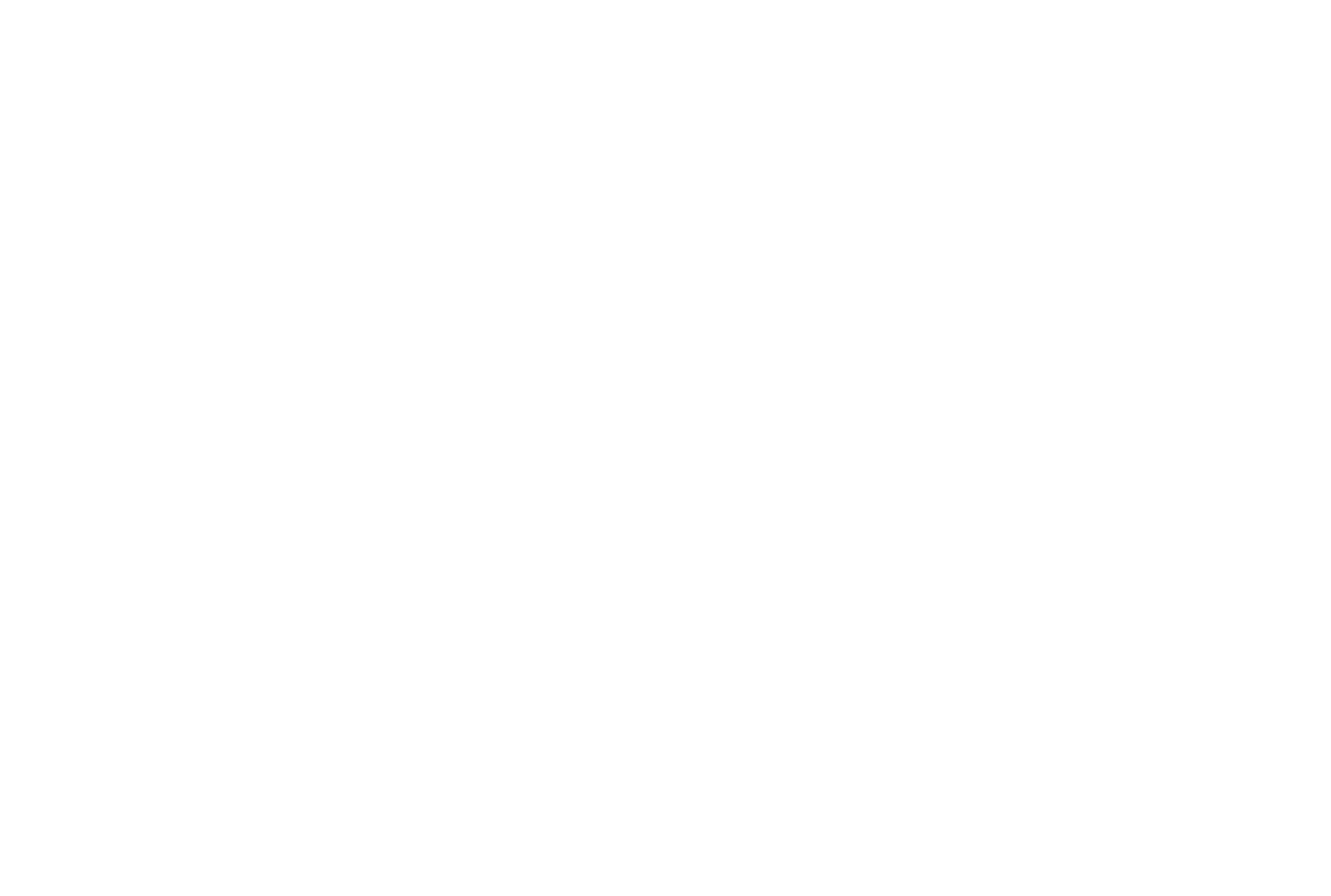 Puma Logo