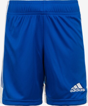 ADIDAS PERFORMANCE Workout Pants in Blue: front