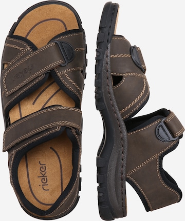 Rieker Hiking Sandals in Brown