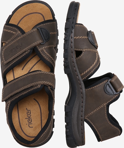 RIEKER Sandale in mokka | ABOUT YOU RIEKER Sandale Herren, Mokka, Größe 47 | Rieker sandalen