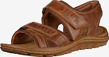 JOSEF SEIBEL Sandalen 'Raul 19' in Bruin: voorkant