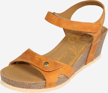 PANAMA JACK Sandal 'Julia' in Orange: front