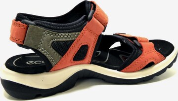 ECCO Hiking Sandals 'Offroad' in Orange