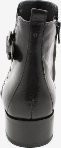 Paul Green Stiefelette in Schwarz