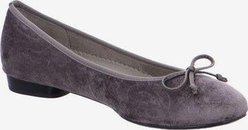 Jenny Ballet Flats in Purple