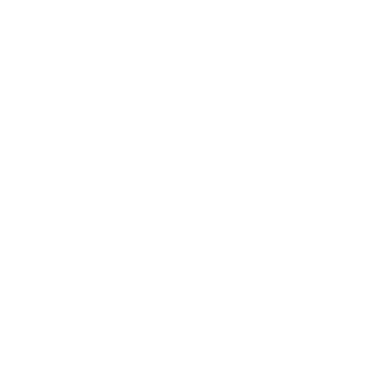 CERRUTI 1881 Logo