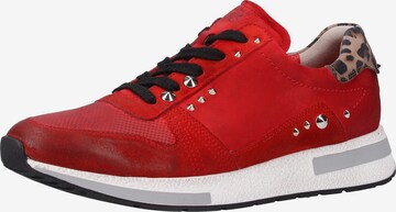 Paul Green Sneakers laag in Rood: voorkant