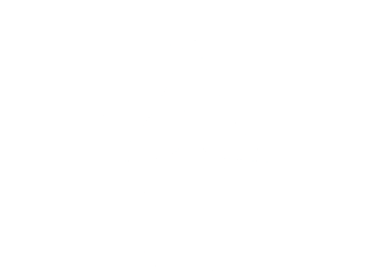 FIREFLY Logo