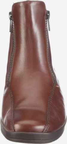 SEMLER Booties in Brown