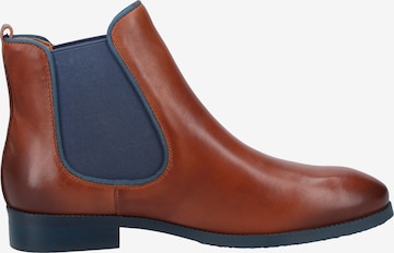 PIKOLINOS Chelsea Boots 'Royal' in Brown