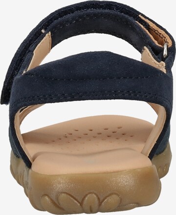 GEOX Sandalen in Blau