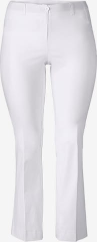 SHEEGO Boot cut Pants in White: front