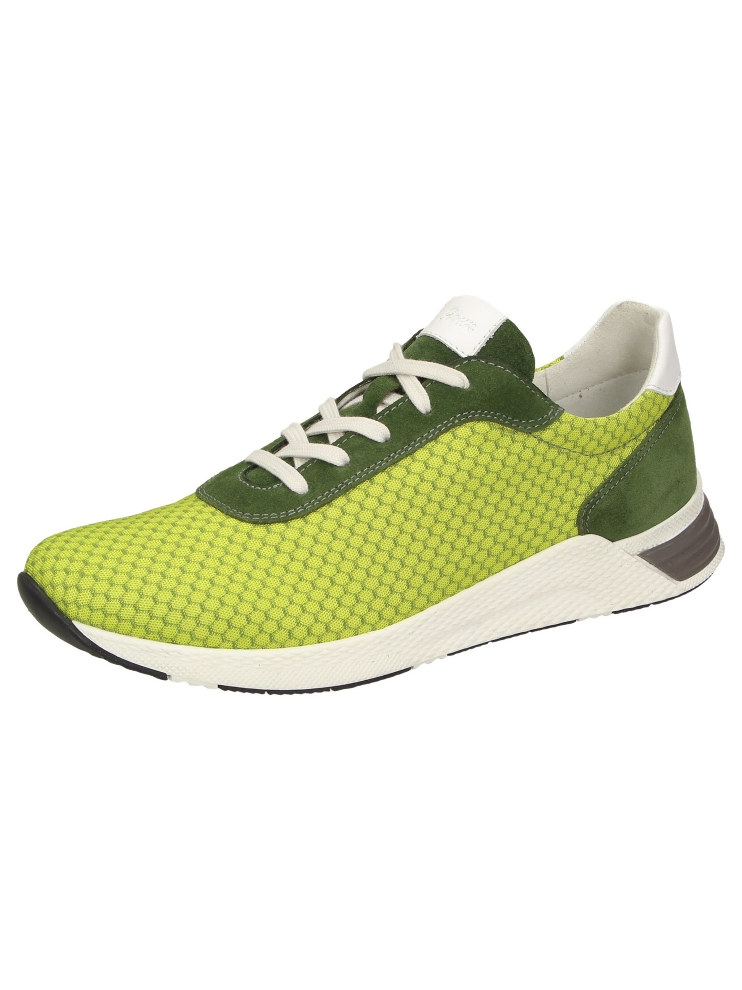 SIOUX - Sneakers laag 'Natovan-700' in de kleur Groen