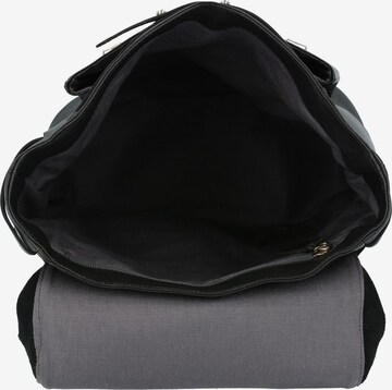 Harold's Rucksack 'Campo' 41 cm in Schwarz