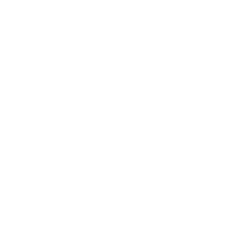 AX Paris Logo