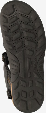 GEOX Pohodni sandali 'U Tevere' | črna barva