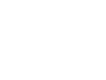 Laura Biagiotti Roma Logo