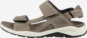 ECCO Hiking Sandals 'X-trinsic' in Grey