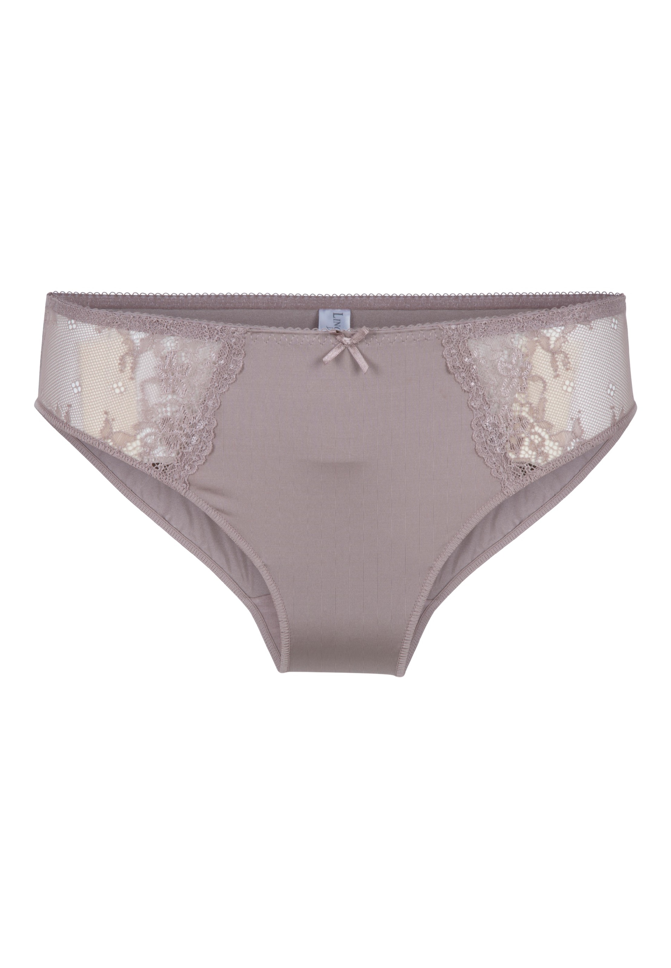 LingaDore Slip 'DAILY LACE' in Beige: front