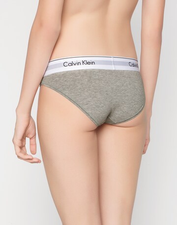 Calvin Klein Underwear Slip in Grau