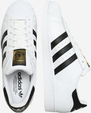 ADIDAS ORIGINALS - Sapatilhas baixas 'Superstar' em branco