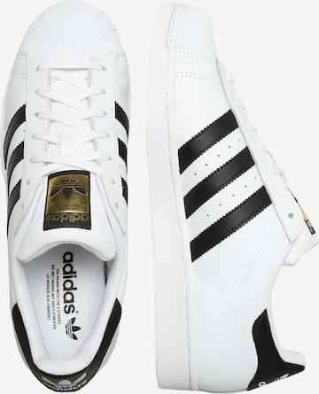 ADIDAS ORIGINALS Sneaker 'Superstar' in Weiß