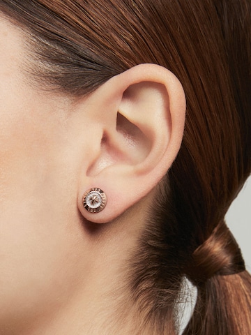 Ted BakerNaušnice 'Eisley' - zlatna boja: prednji dio