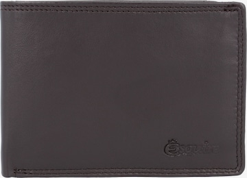 Esquire Wallet 'Duo' in Brown: front