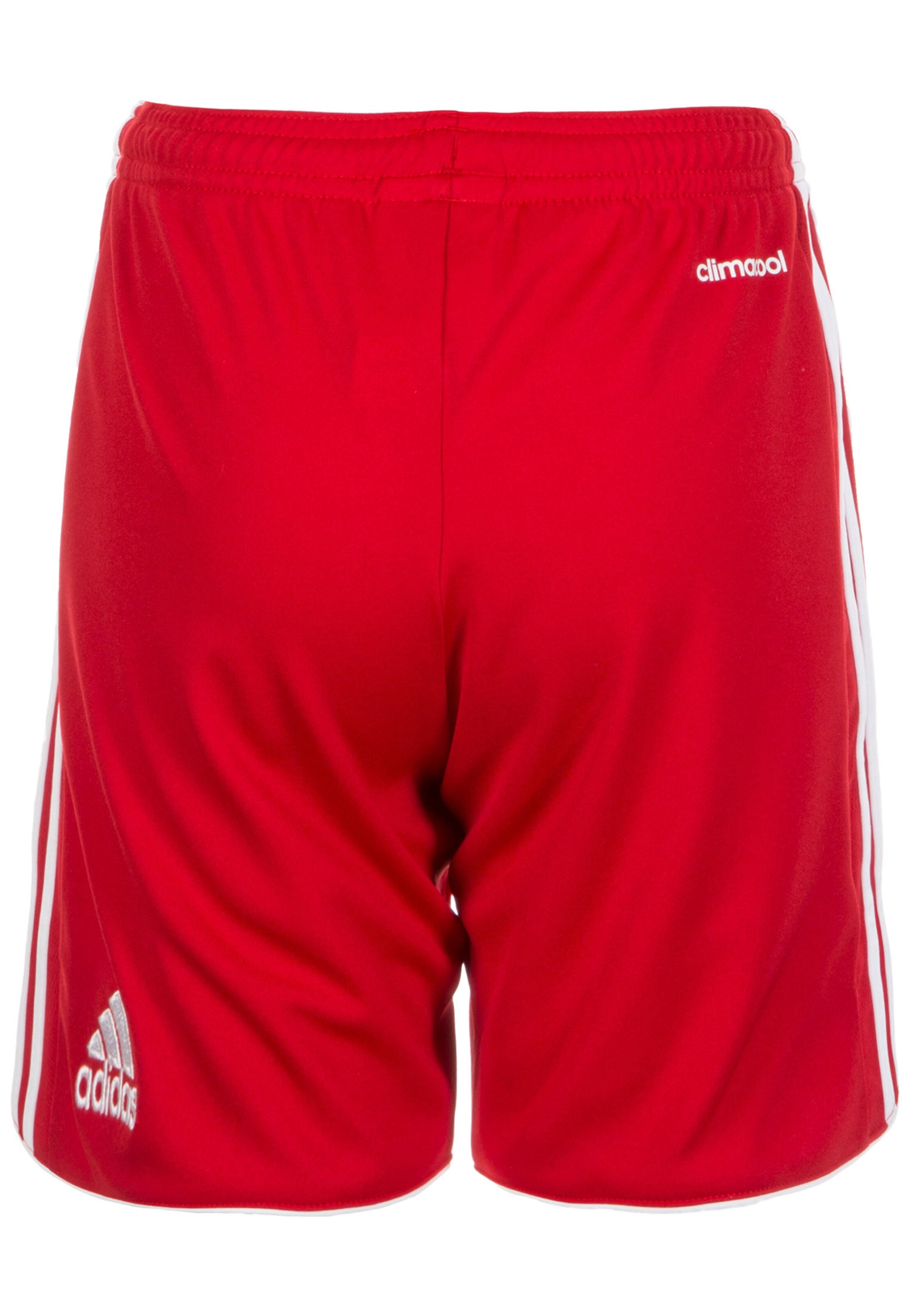 ADIDAS PERFORMANCE Regular Sporthose 'Tastigo 17' in Rot