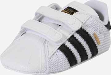 ADIDAS ORIGINALS - Zapatillas deportivas 'Superstar' en blanco: frente