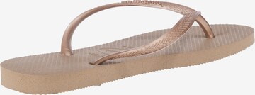 HAVAIANAS Ujjelválasztó-pántos szandál - bronz