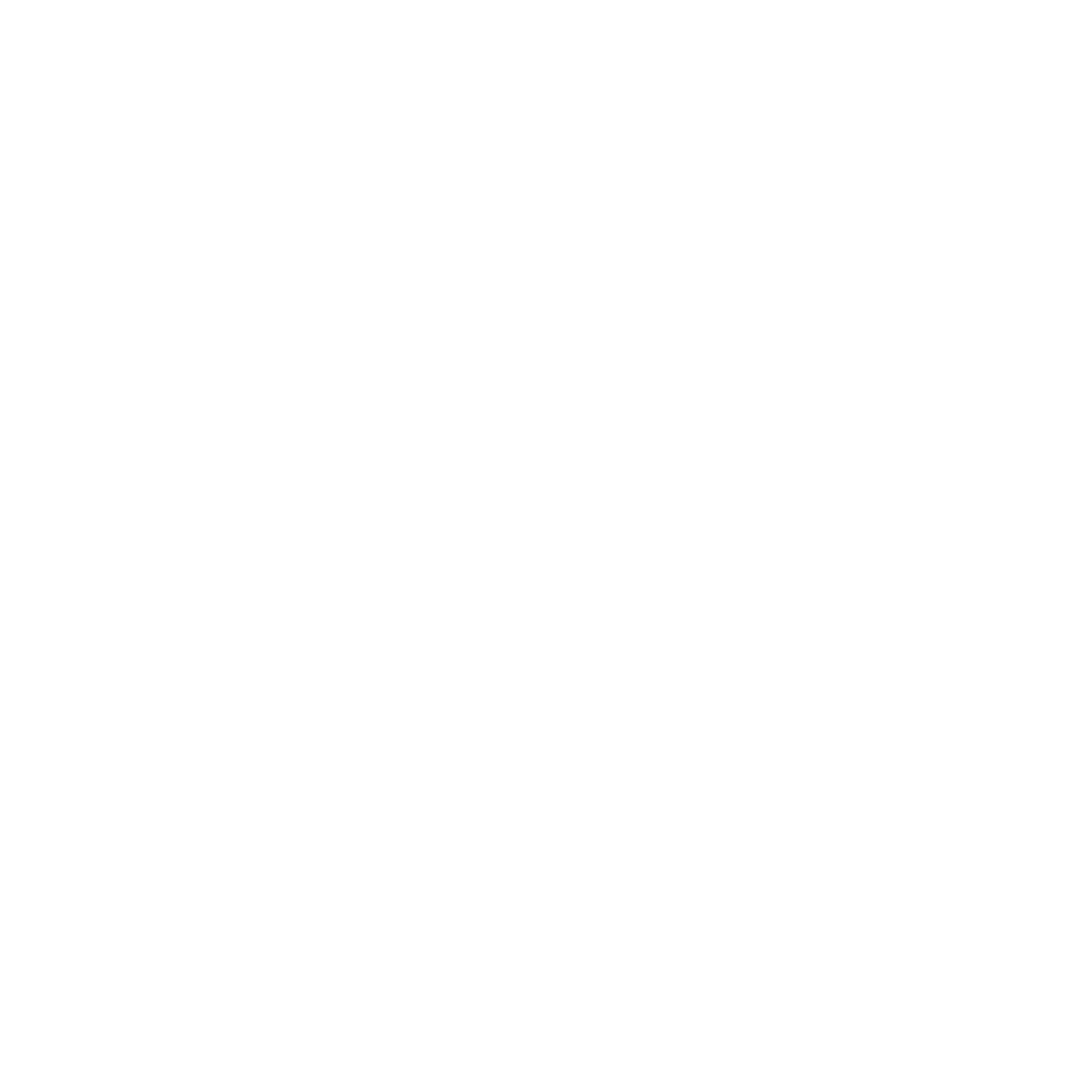 Barbour International Logo