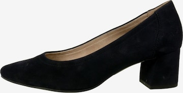 Paul Green Pumps in Blau