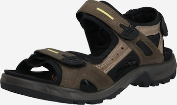 ECCO Wandelsandalen 'Offroad' in Grijs: voorkant