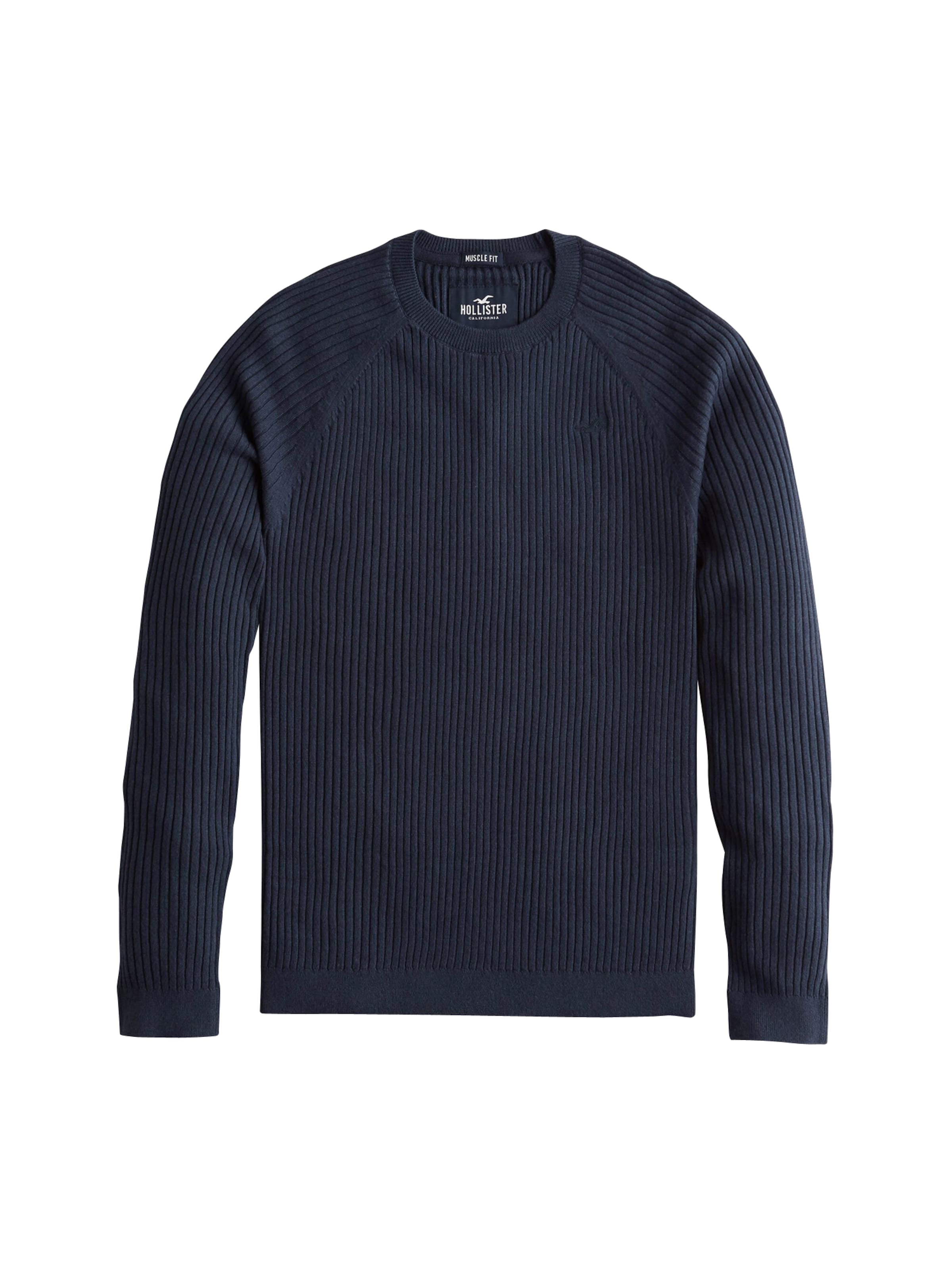 HOLLISTER - Shirt in de kleur Navy
