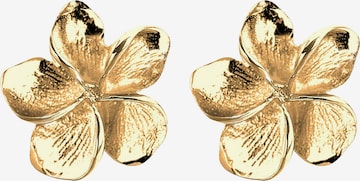 ELLI Earrings 'Frangipani Blüte' in Gold