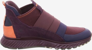 ECCO High-Top Sneakers in Purple