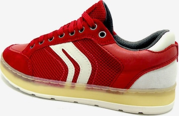 GEOX Sneakers laag in Rood