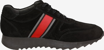 SIOUX Sneaker in Schwarz