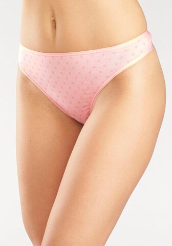 GO IN Thong in Mixed colors: front