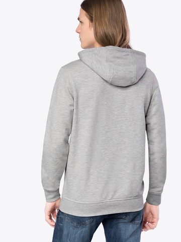 HELLY HANSEN Sweatshirt i grå: bakside