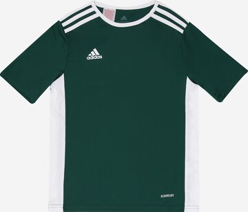 T-Shirt fonctionnel 'Entrada 18' ADIDAS PERFORMANCE en vert : devant