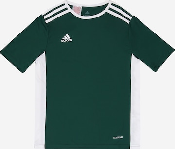 T-Shirt fonctionnel 'Entrada 18' ADIDAS PERFORMANCE en vert : devant