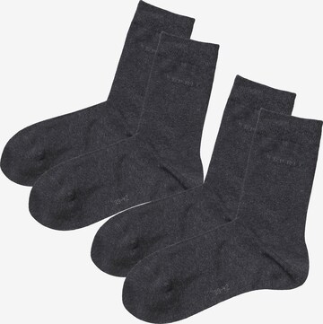 Chaussettes ESPRIT en gris : devant