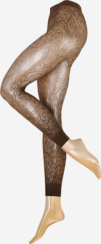 Regular Collants 'Zebra LE' FALKE en marron : devant