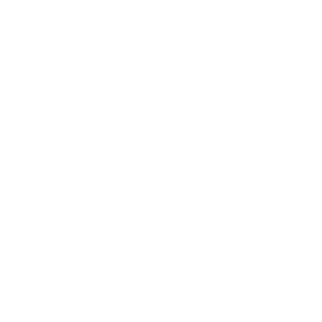 Bagmori Logo