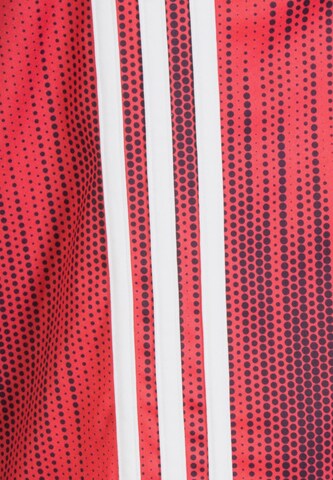 ADIDAS SPORTSWEAR Funktionsshirt 'Tiro 19' in Rot