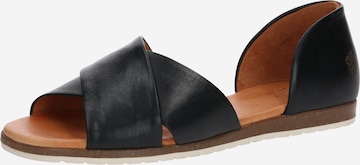 Apple of Eden Sandals 'Chiusi' in Black: front